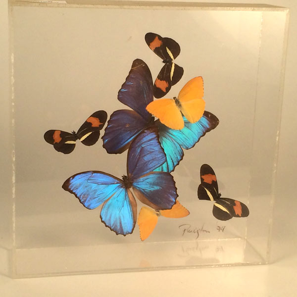 1970's Paul Purington lucite framed and mounted butterflies.