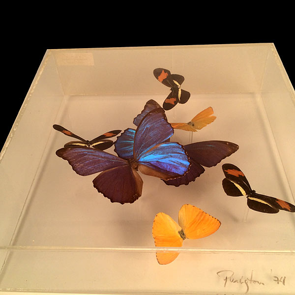1970's Paul Purington lucite framed and mounted butterflies.