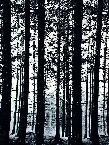 The Pinewood Fabric Handprint by Ronald Hansen for Grautex, Denmark