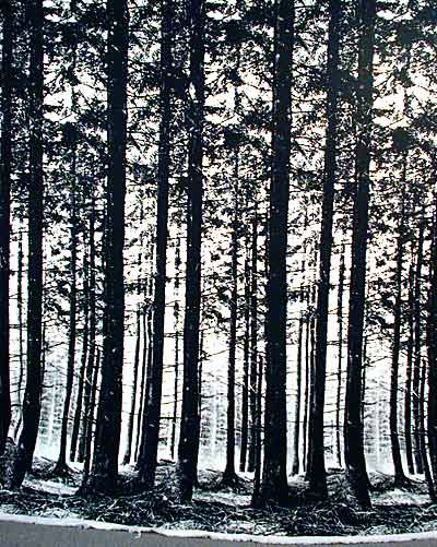 The Pinewood Fabric Handprint by Ronald Hansen for Grautex, Denmark