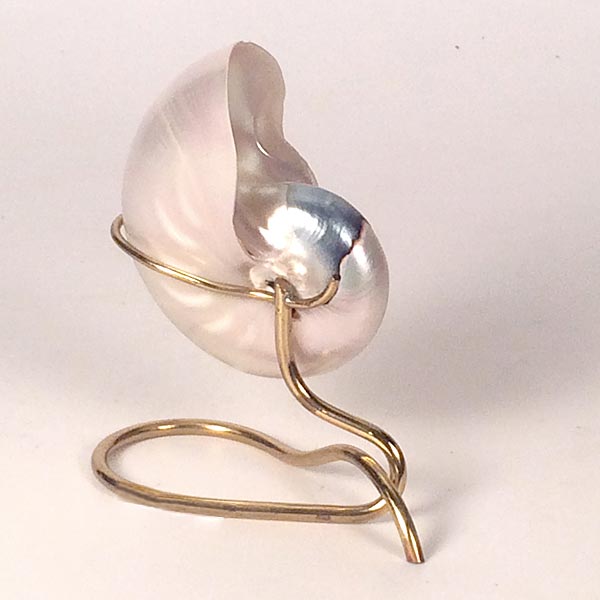 Mounted Nautilus Shell