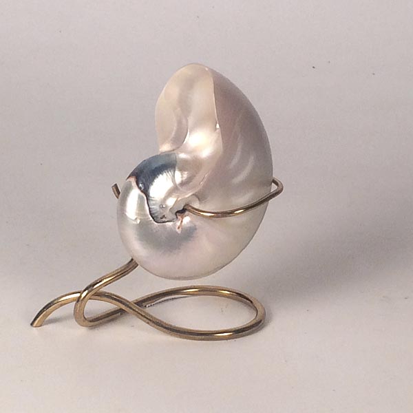 Mounted Nautilus Shell