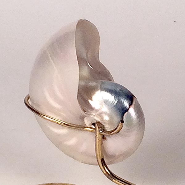 Mounted Nautilus Shell